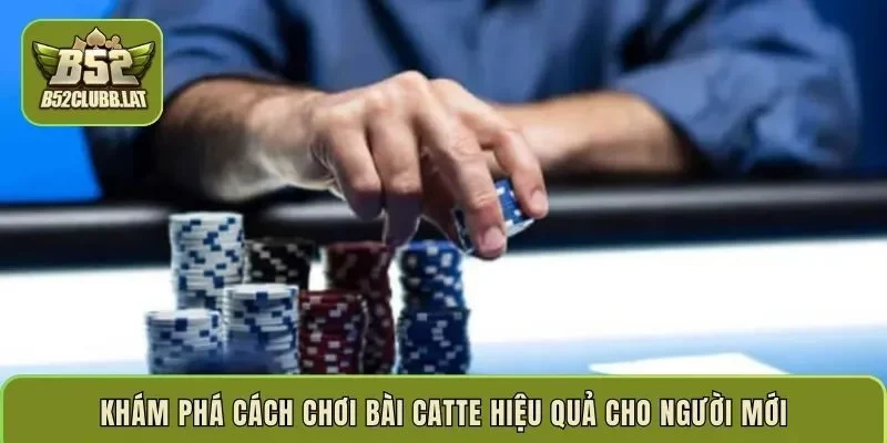 Khám phá cách chơi bài catte hiệu quả cho người mới