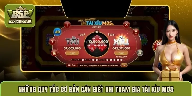 Những quy tắc cơ bản cần biết khi tham gia Tài xỉu MD5